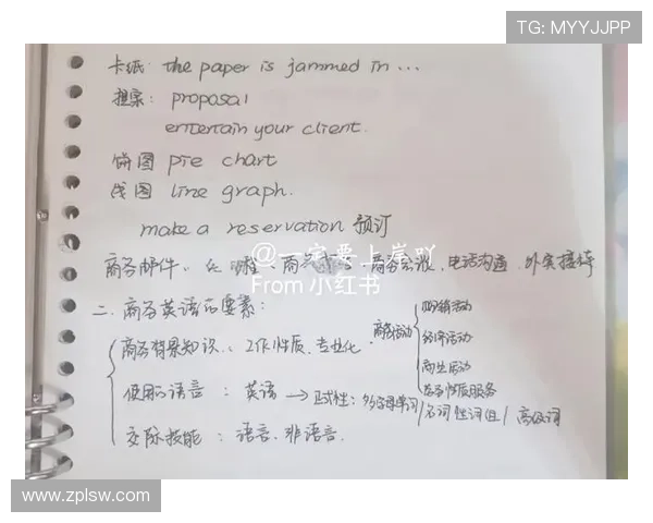 面向全球竞争的企业家高效商务英语全方位技能实战全面提升策略指南